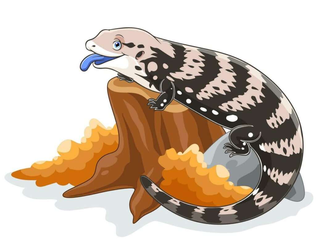 bluetongueskinkforsale.com